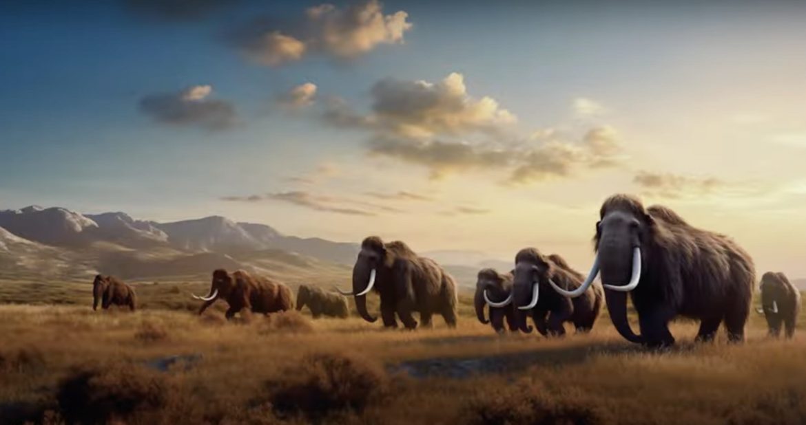 Colossal Biosciences: A Bold Leap into De-Extinction and Conservation
