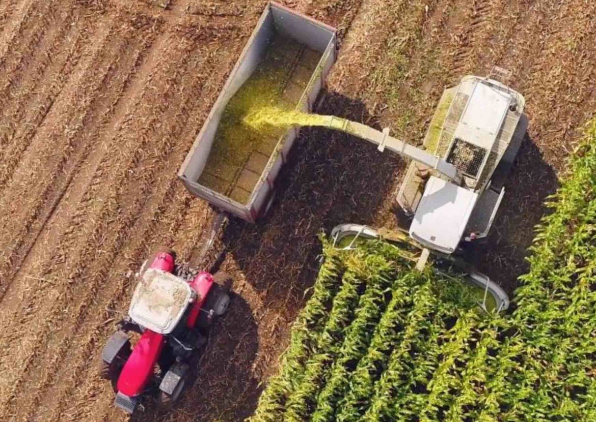 Brussels to Preserve Core Farming Subsidies as Parliament Calls for Independent CAP Budget Post-2027