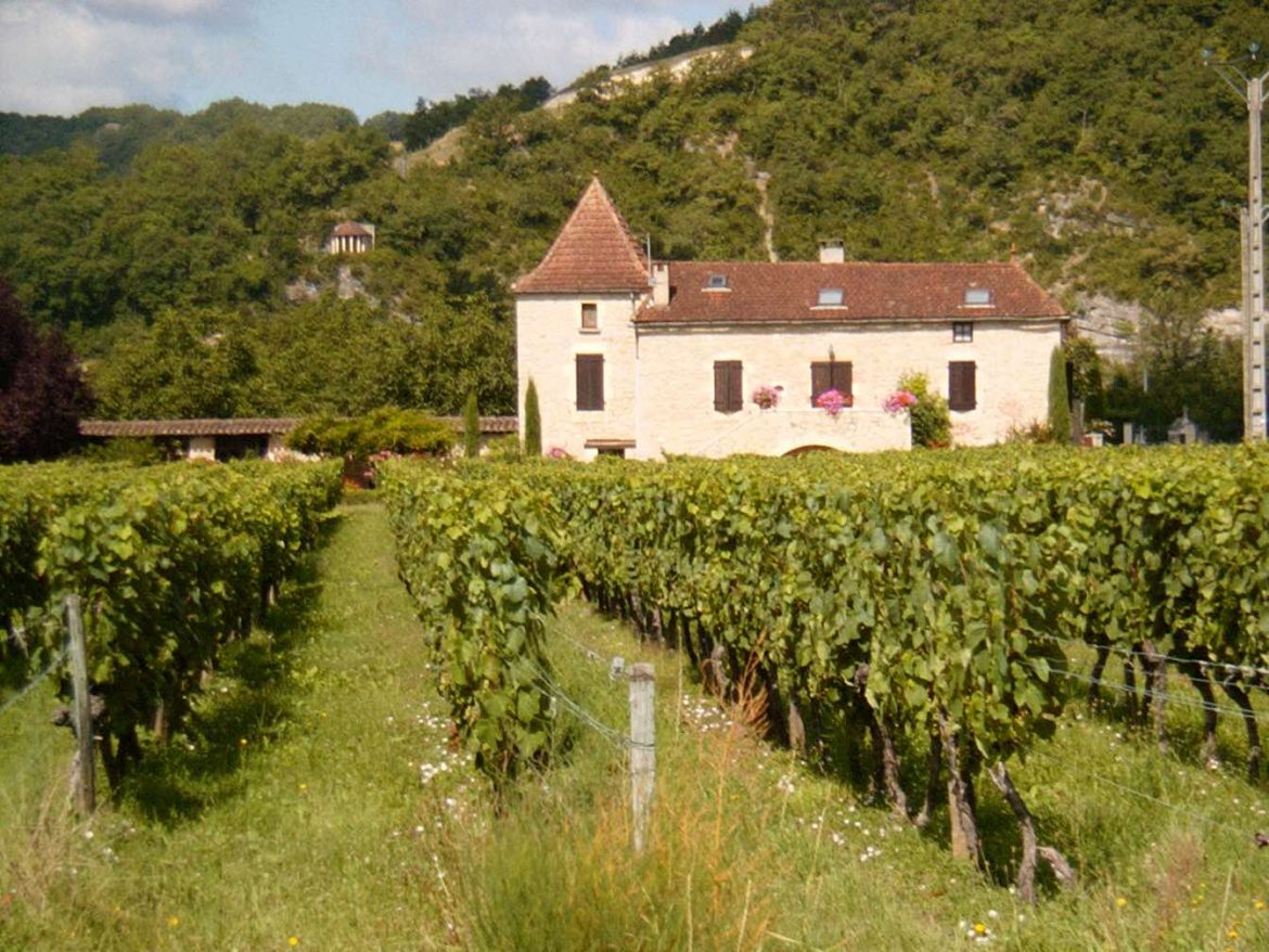 Wine