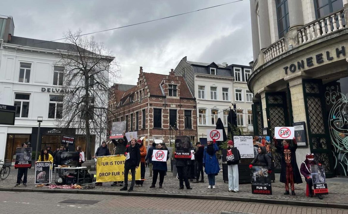Anti-fur campaigners bring protest to Louis Vuitton in Antwerp as pressure grows for EU-wide ban