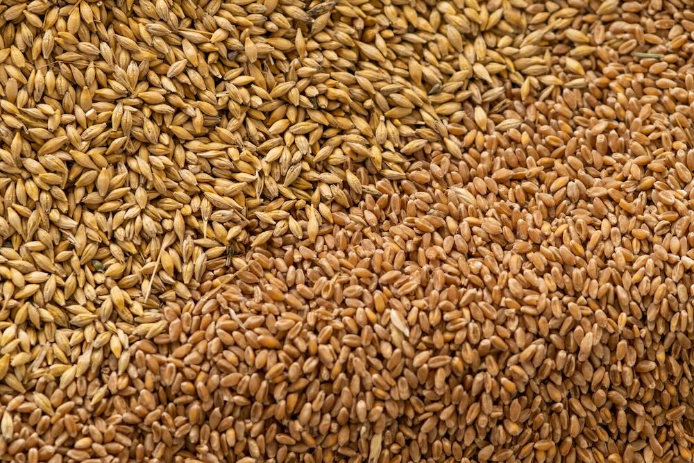 Ukraine-Israel grain dispute deepens as Kyiv warns of sanctions over alleged Russian smuggling route