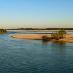 Saltwater in Italy's Po Delta Turns Europe's Heatwave Into a Food-Security Warning