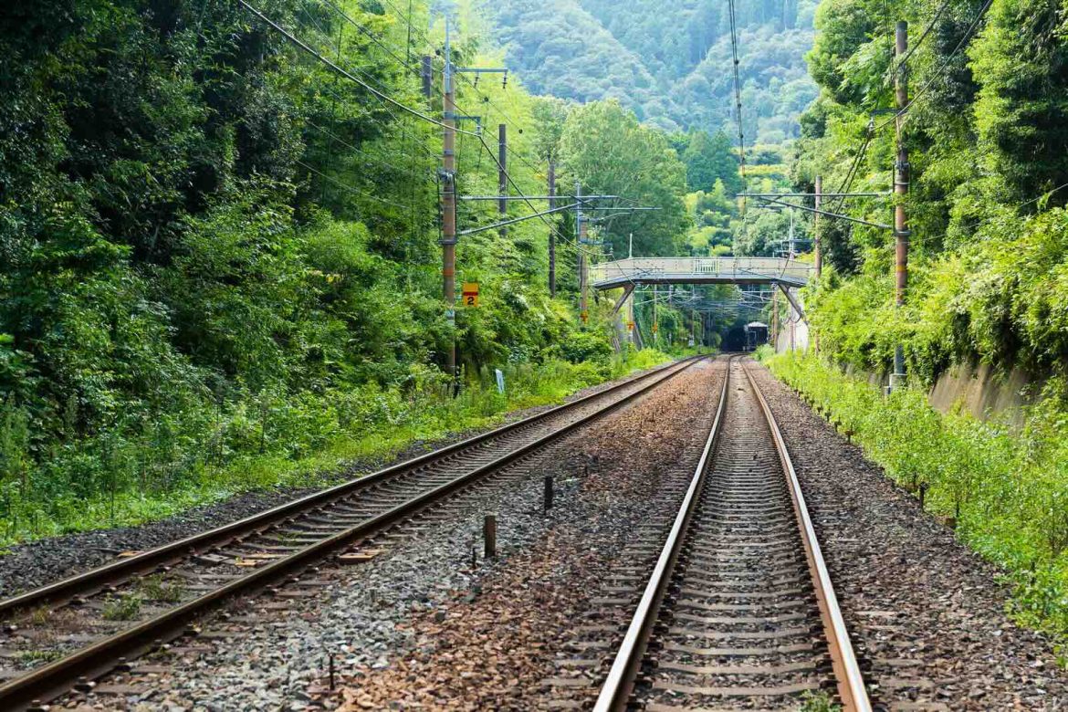 Brussels Warns Netherlands Over Rail Rules That May Favour State Operator