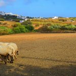 Greek Farm-Subsidy Case Puts Four Lawmakers in EPPO’s Dock