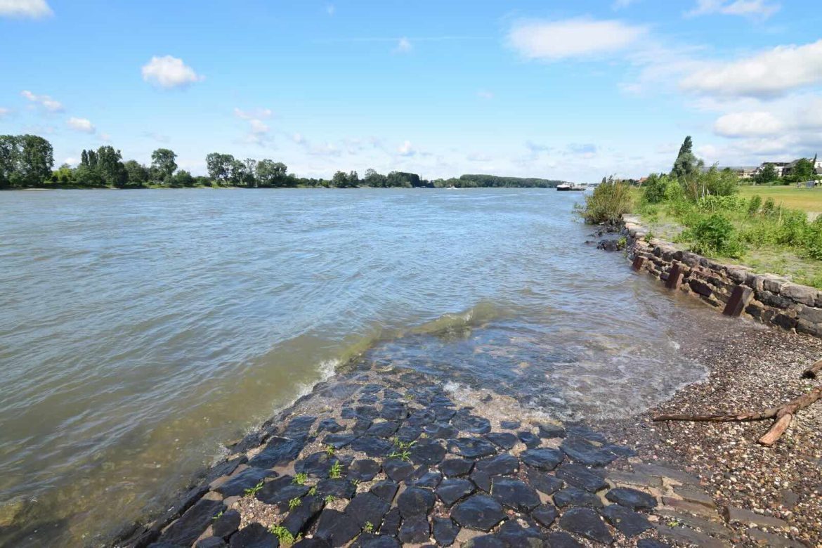 Falling Rhine Levels Raise New Transport and Energy Risk for European Industry