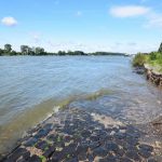 Falling Rhine Levels Raise New Transport and Energy Risk for European Industry