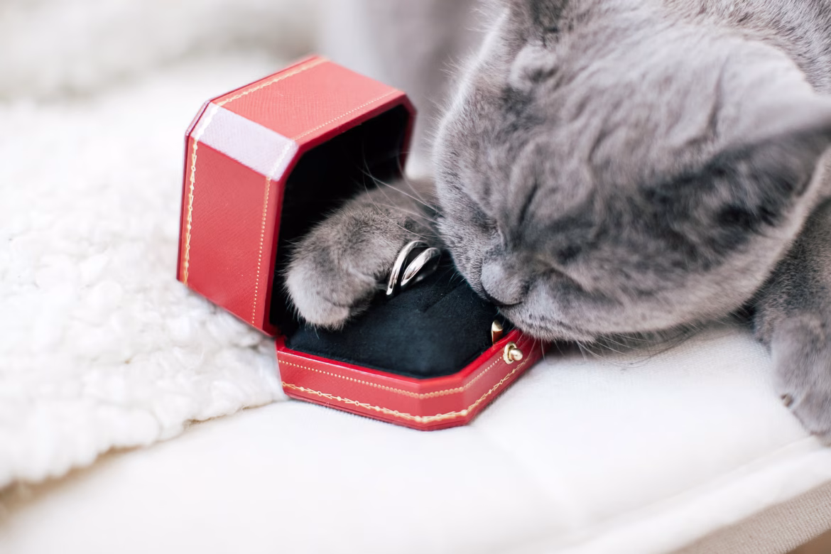 Richemont Sales Beat Forecasts as Luxury Spending Defies European Slowdown