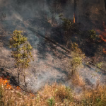 Bordeaux Airport Closes as Wildfire Emergency Spreads Across France and Spain
